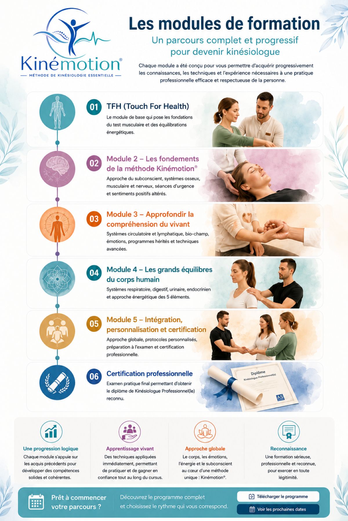 Les modules de la formation en kinésiologie Infographie présentant les modules de la formation en kinésiologie de l'École AS, du TFH jusqu'à la certification professionnelle selon la méthode Kinémotion®.