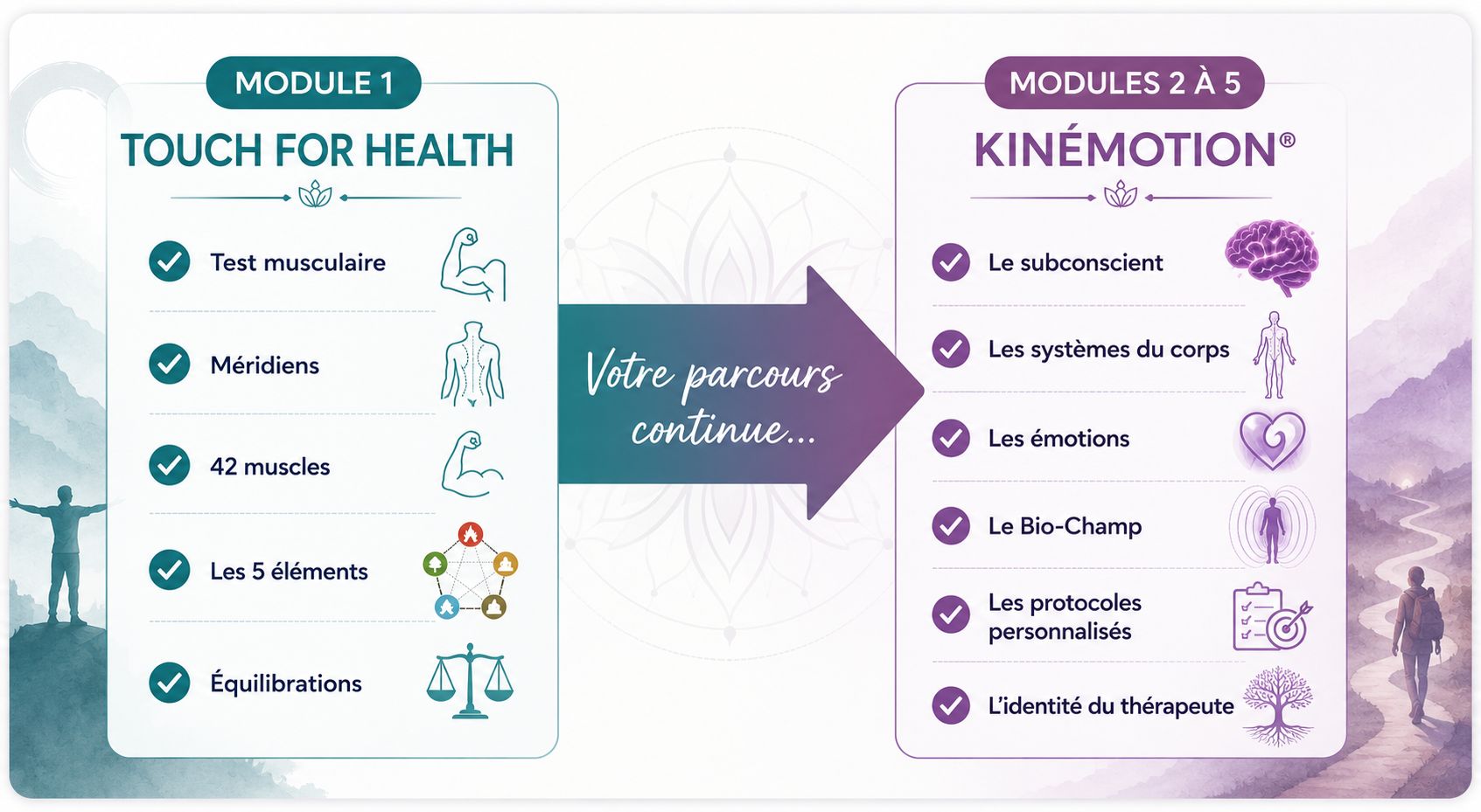 Illustration montrant la transition entre le module 1 Touch For Health (TFH) et les modules 2 à 5 Kinémotion® dans le parcours de formation en kinésiologie de l'École AS.